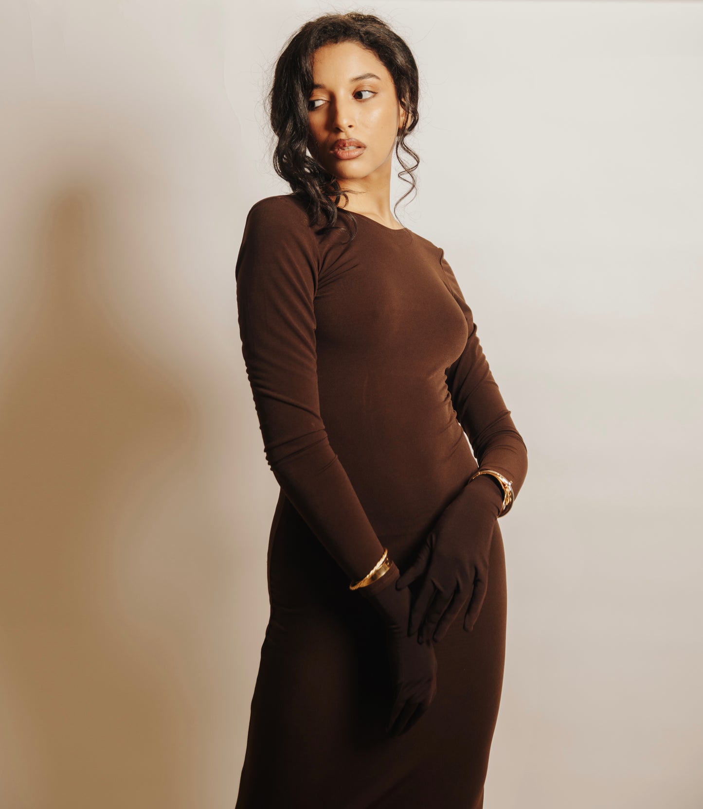 Long Brown Dress